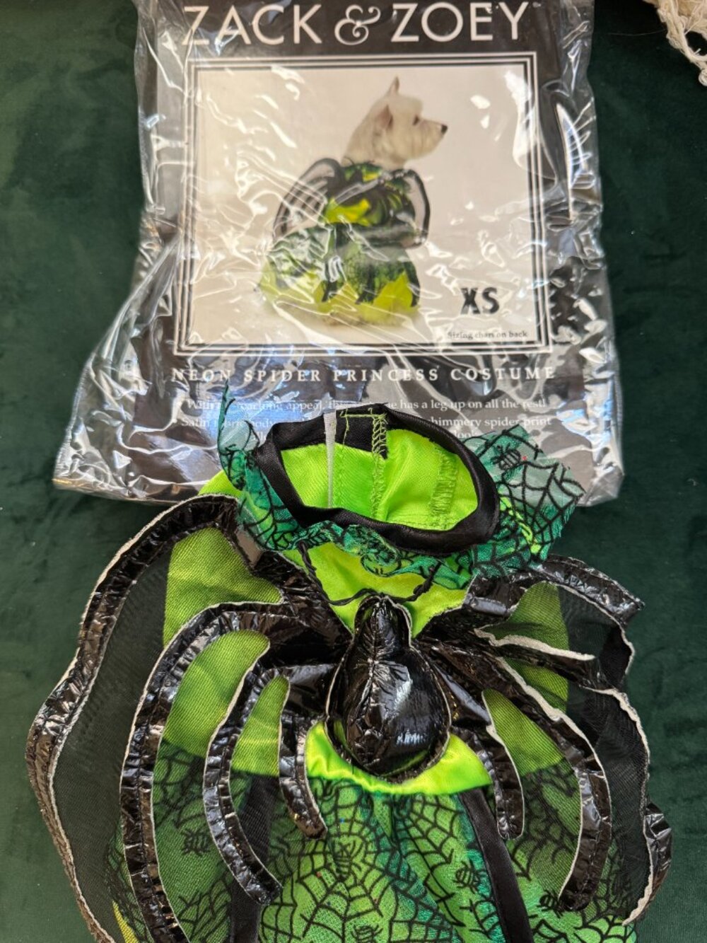 Neon Spider Princess Dog Halloween Costume Size XS